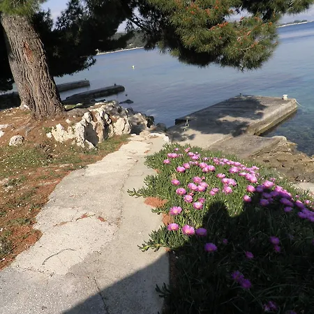 Apartments Holiday Lumbarda